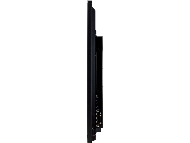 ProLite TE5503MIS-B1AG — image 9